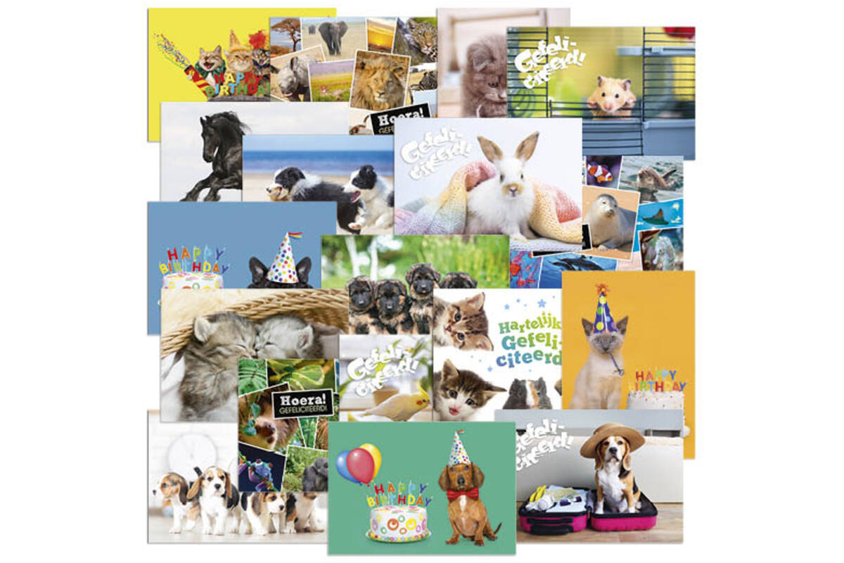 Miniposters Dieren Mix 1101, 18 motieven, 18 stuks