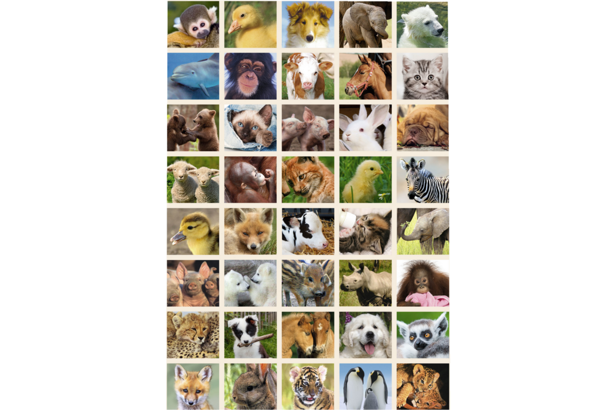Krasstickers 644 babydieren, 40 motieven, 600 stuks