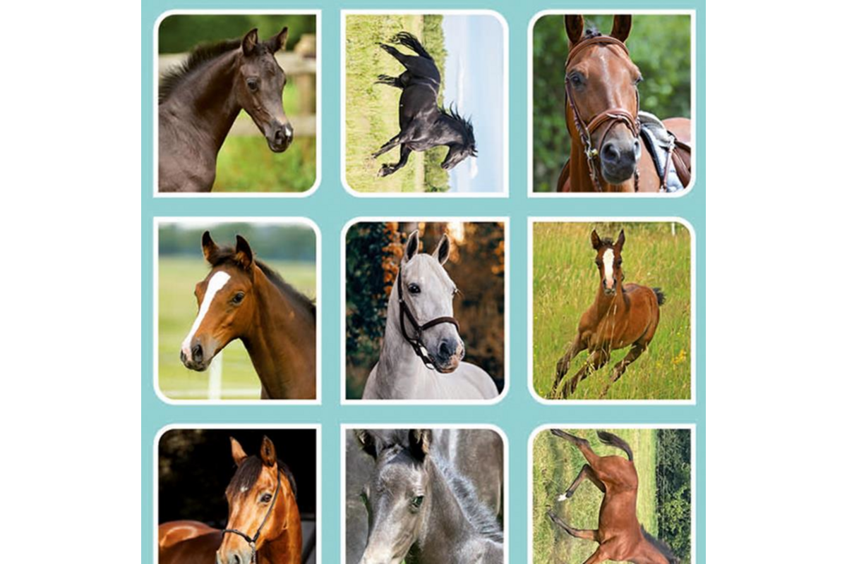 Beloningsstickers 109 Veulens en paarden 40 motieven, 800 stickers