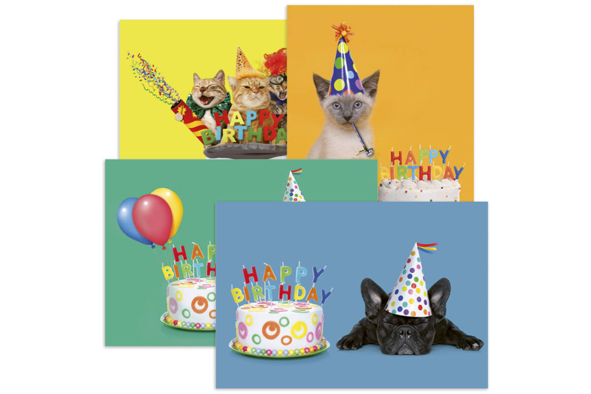 Miniposter 1086 Party animals 4 motieven, 20 stuks