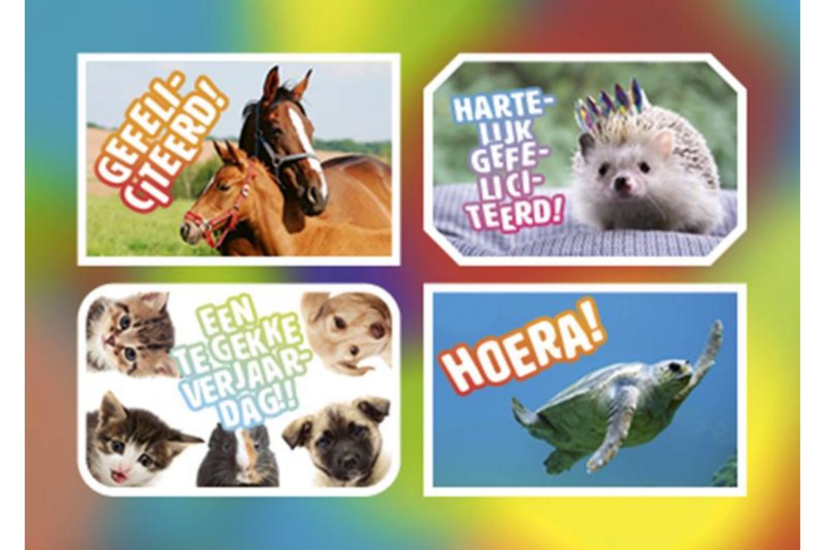 Ansichtkaarten 5760 Felicitatiedieren 4 motieven, 48 kaarten