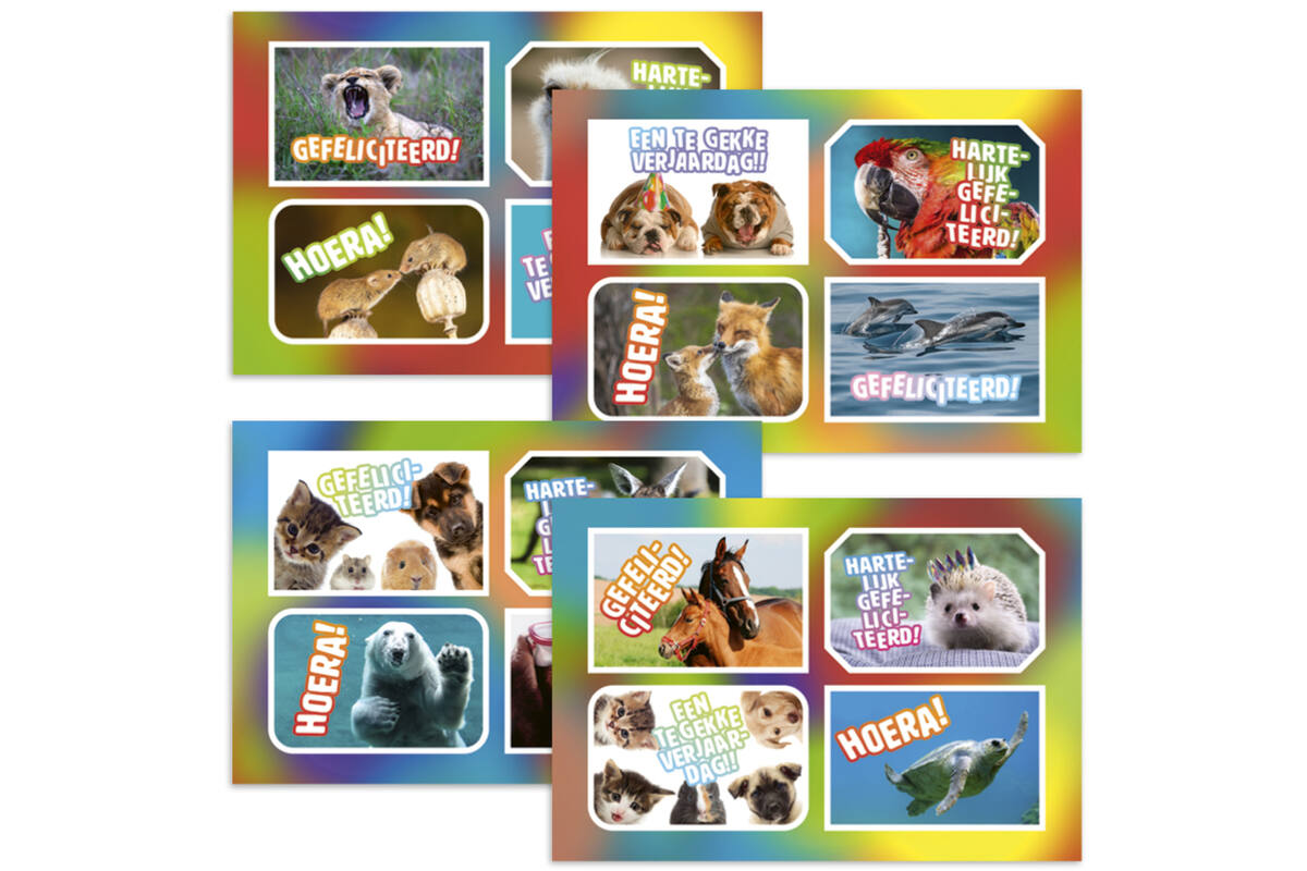 Ansichtkaarten 5760 Felicitatiedieren 4 motieven, 48 kaarten