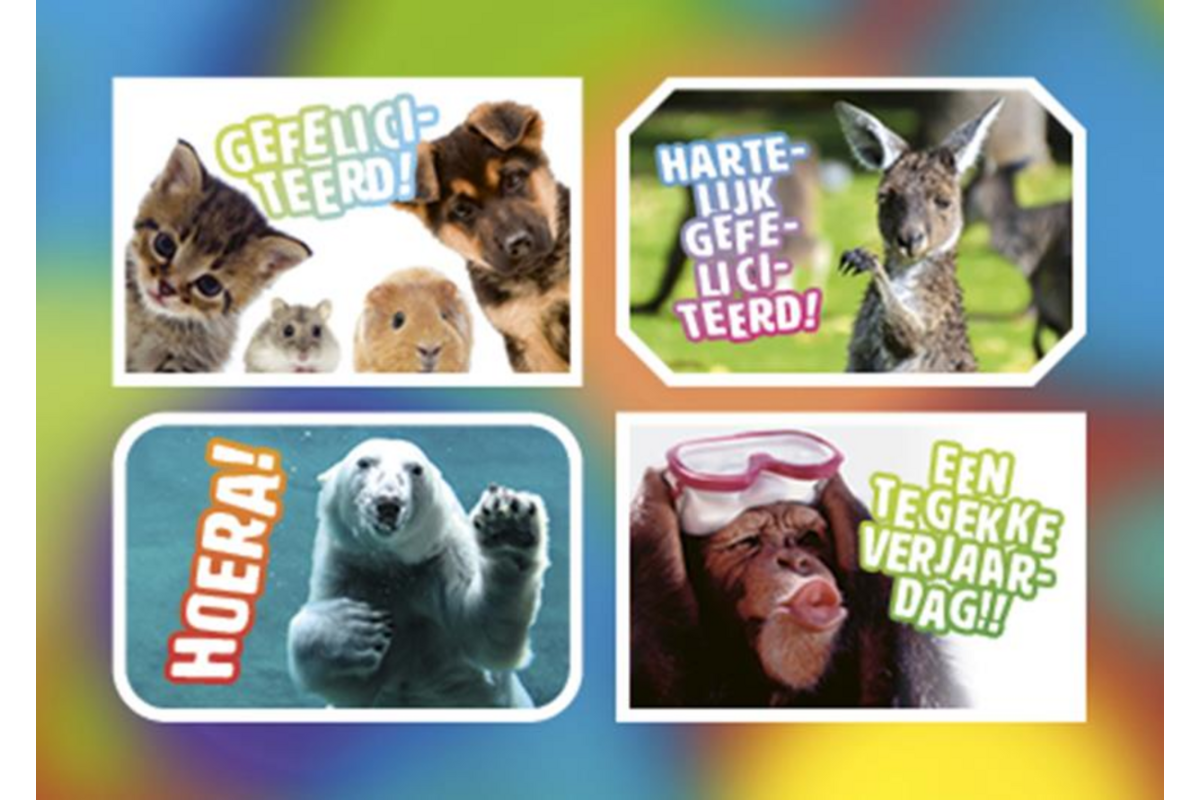 Ansichtkaarten 5760 Felicitatiedieren 4 motieven, 48 kaarten