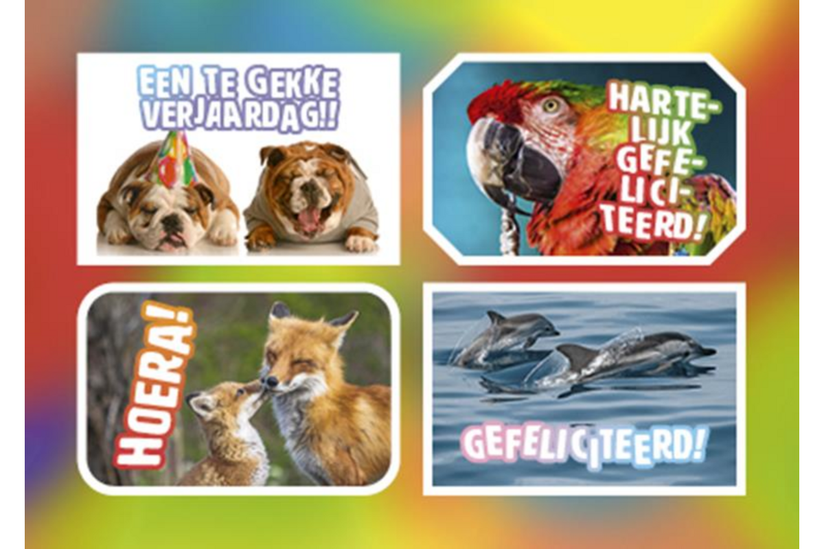 Ansichtkaarten 5760 Felicitatiedieren 4 motieven, 48 kaarten