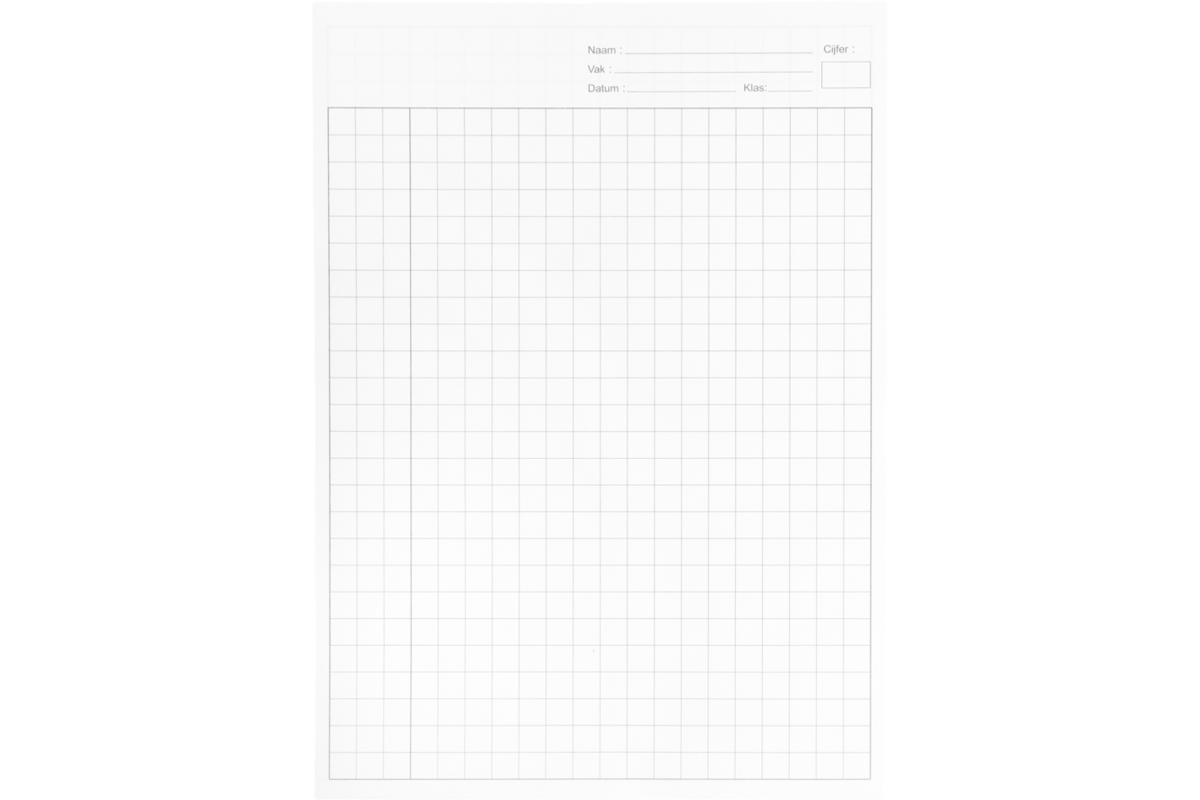 Proefwerkpapier A4, 10 mm ruit, 1000 vel
