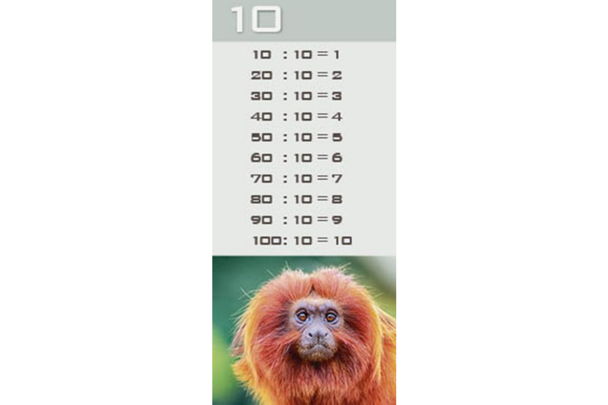 Deelkaartjes 3026 Werelddieren 10 motieven, 120 kaarten