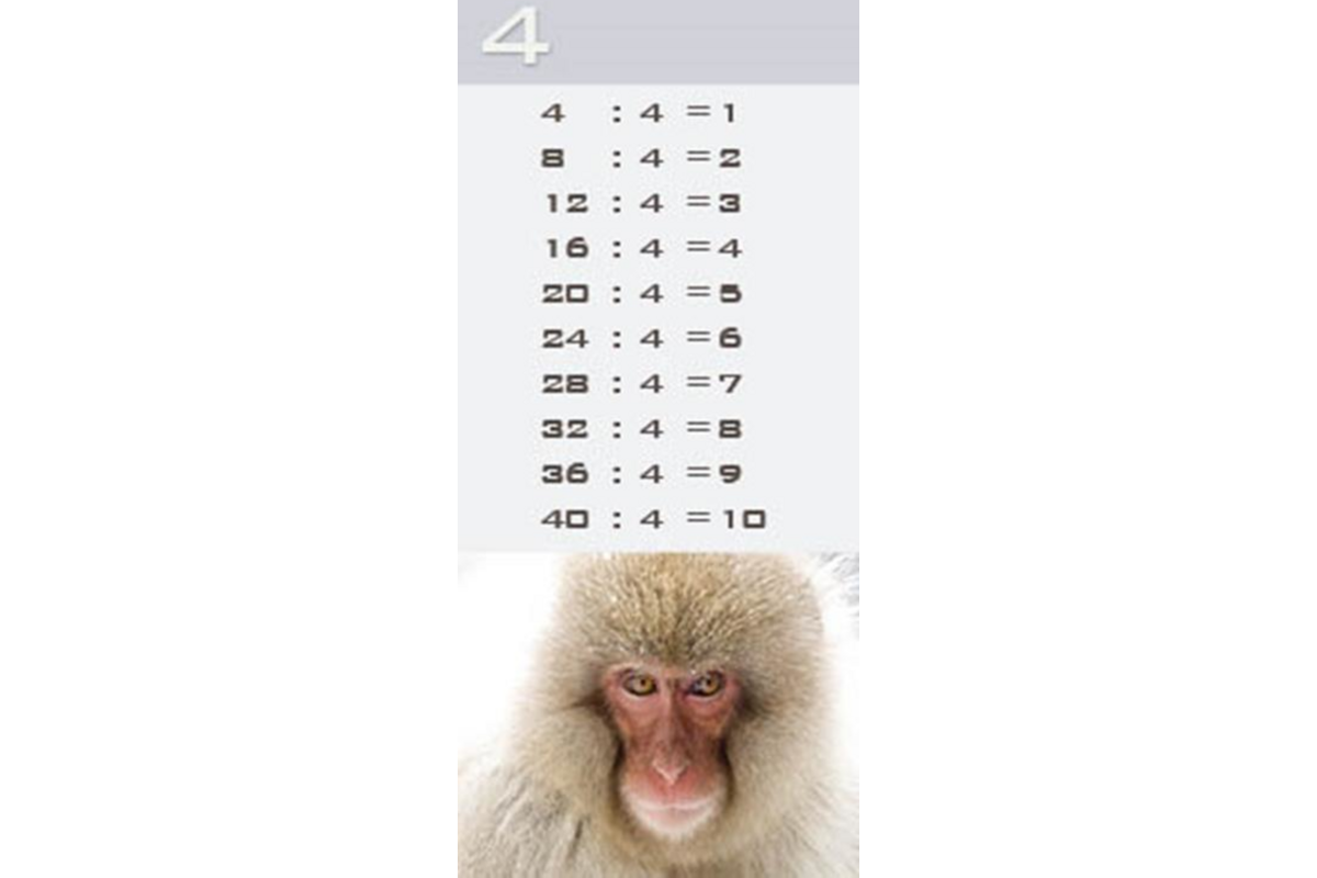 Deelkaartjes 3026 Werelddieren 10 motieven, 120 kaarten