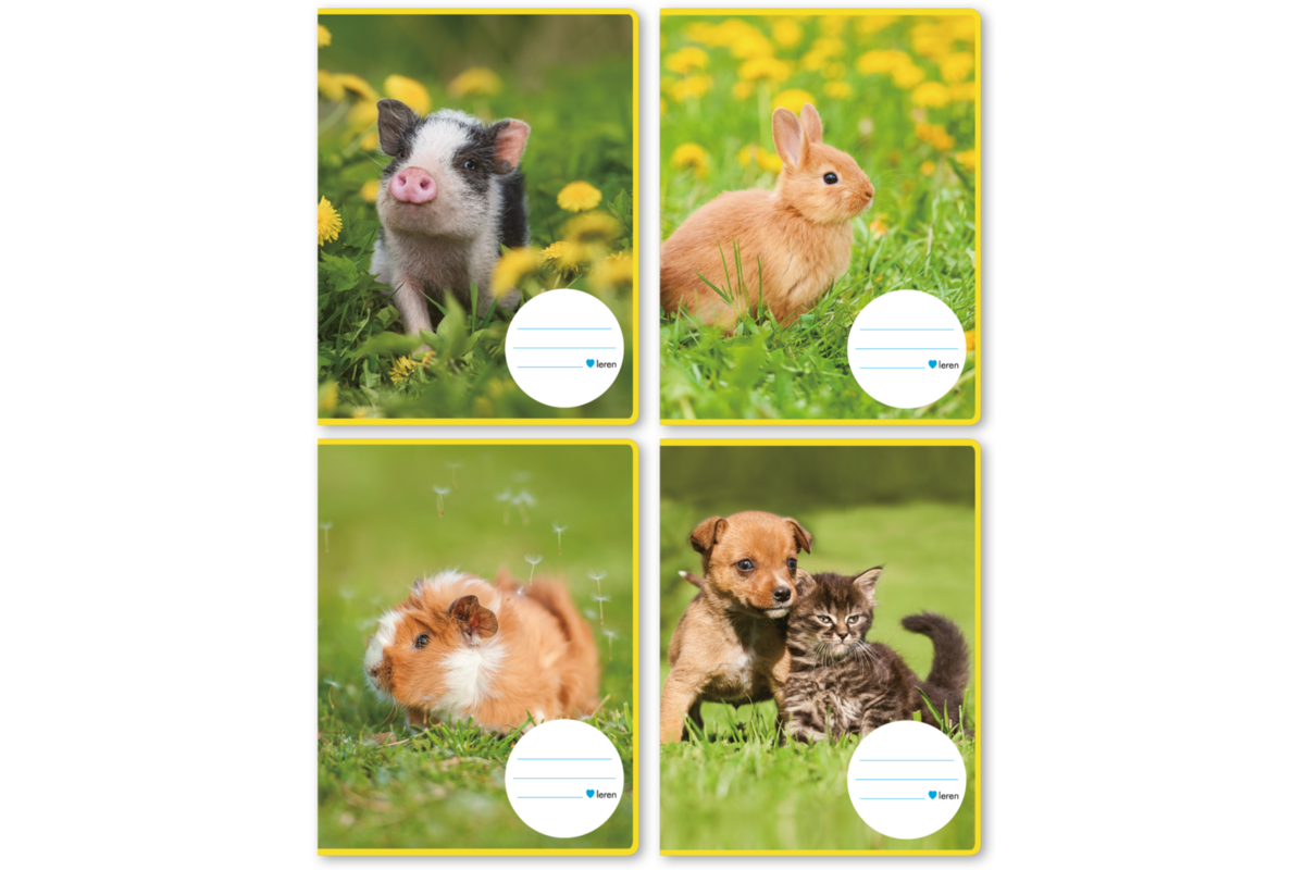 Schriften 4,5-3-4,5, jonge dieren, 16,5 x 21 cm, 80 gr (25 stuks)