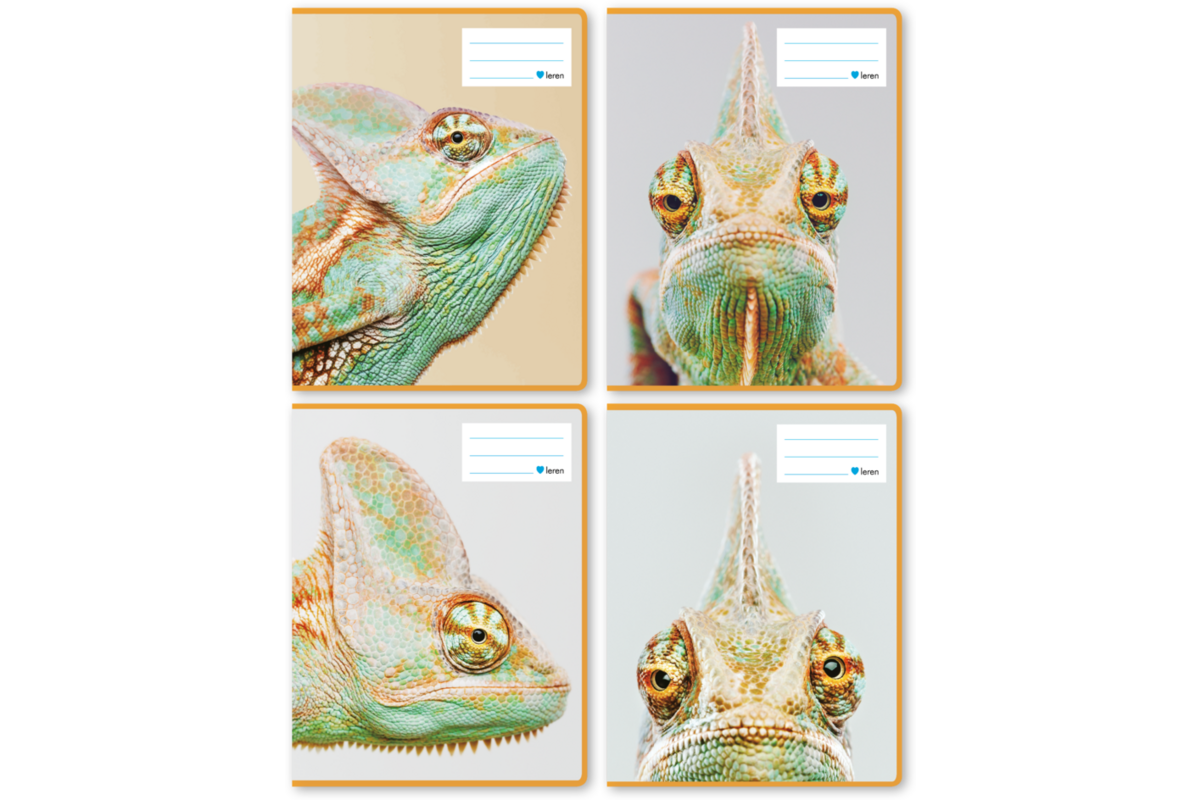 Schriften commerciaal 4x7,5 mm, reptielen, 16,5 x 21 cm, 80 gr (25 stuks)