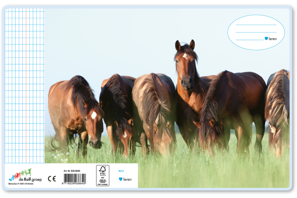 Schriften commerciaal 4x7,5 mm, paarden, 16,5 x 21 cm (25 stuks)