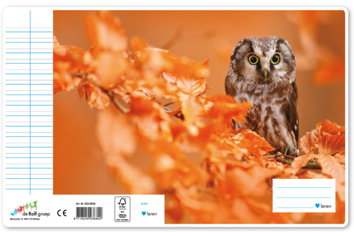 Schriften 6-4-6, uilen, 16,5 x 21 cm, 80 gr (25 stuks)