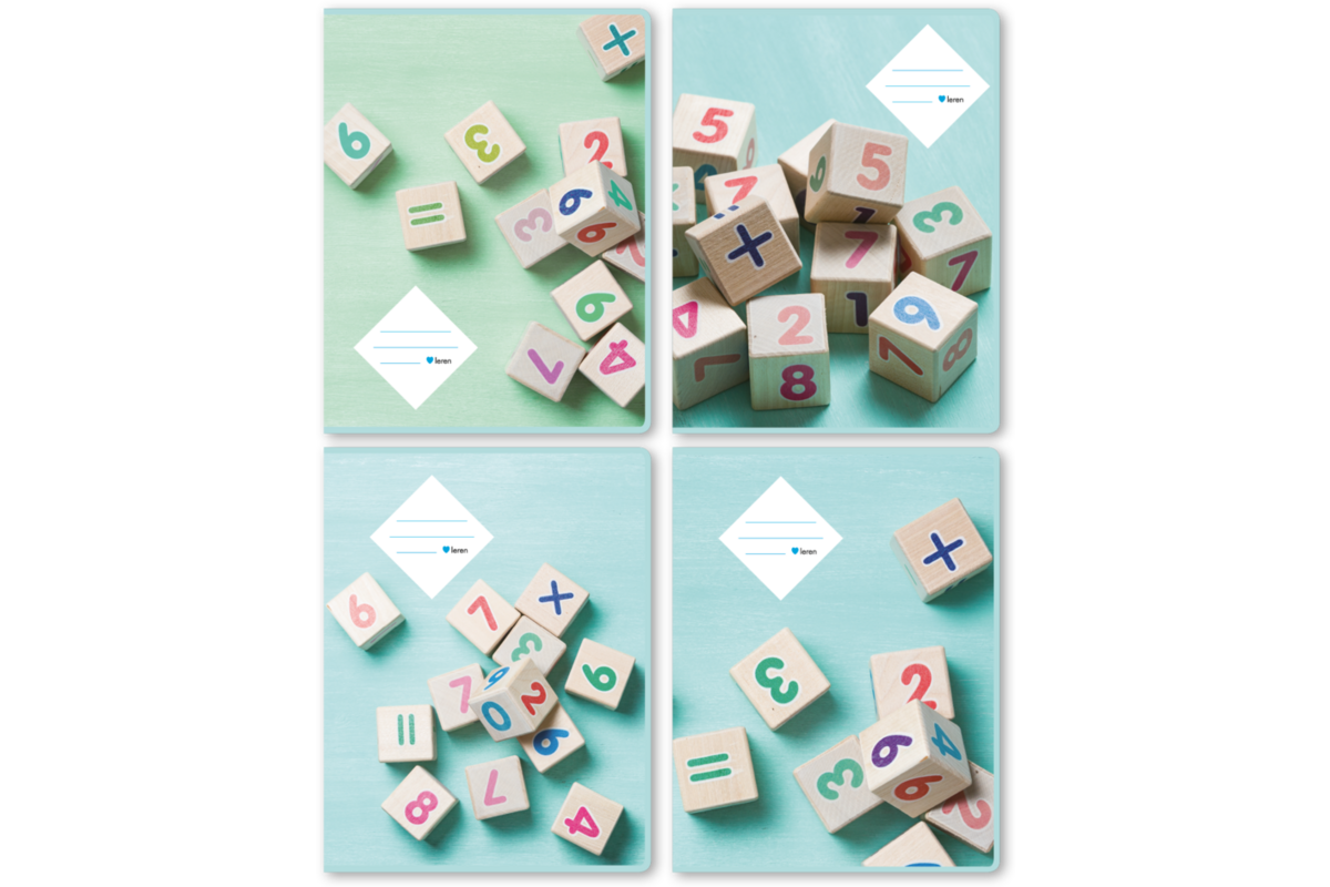 Schriften ruit 10x10 mm, rekenblokken, 16,5 x 21 cm, 80 gr (25 stuks)
