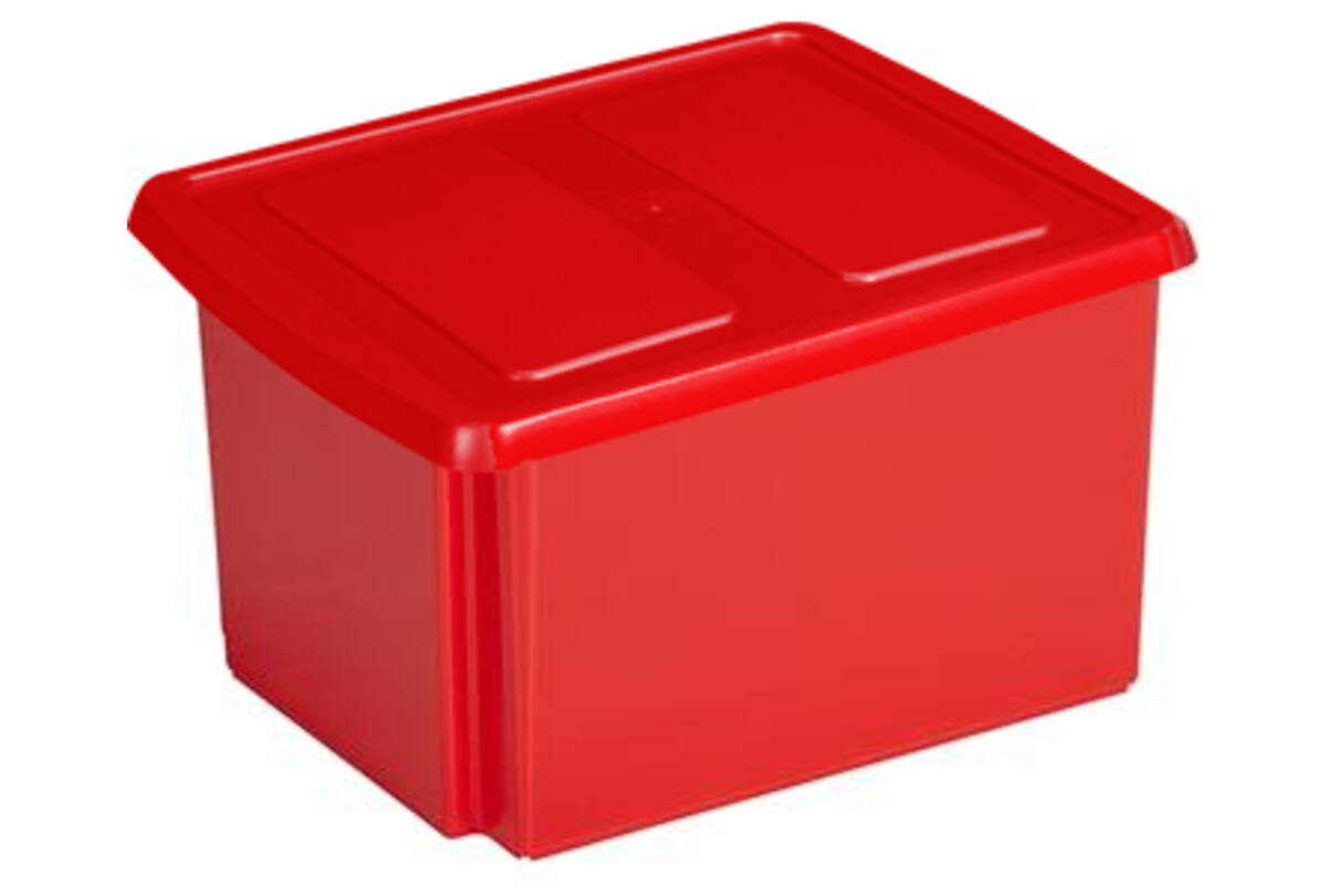 Opbergbox met deksel 32 liter formaat 45 x 35 x 24 cm