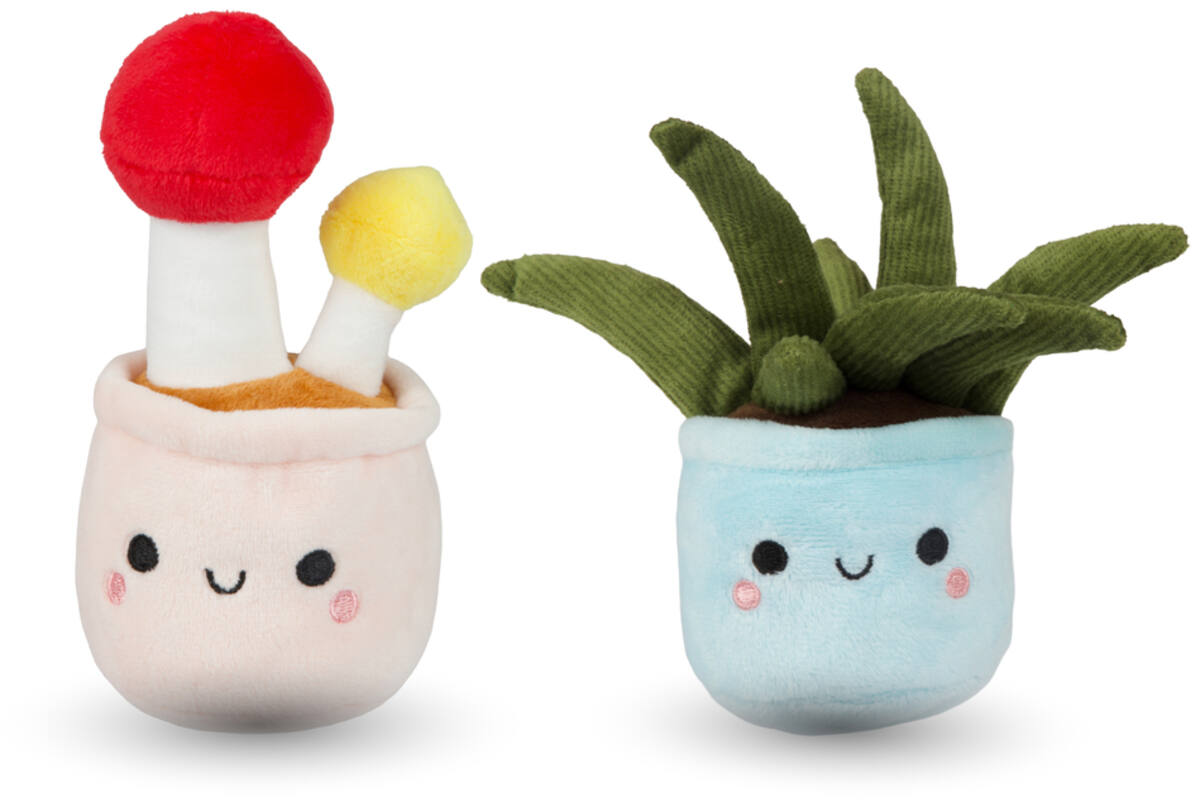 Pluchen plant in pot 12 cm assorti