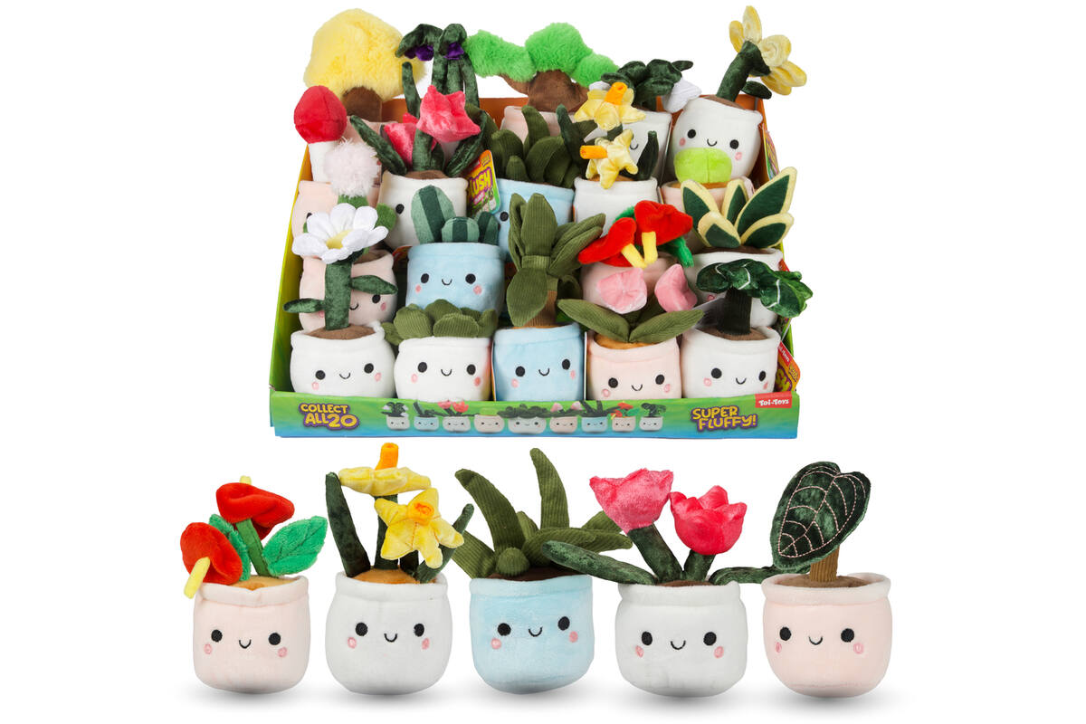 Pluchen plant in pot 12 cm assorti