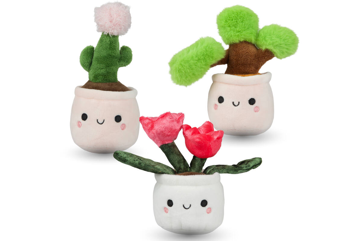 Pluchen plant in pot 12 cm assorti