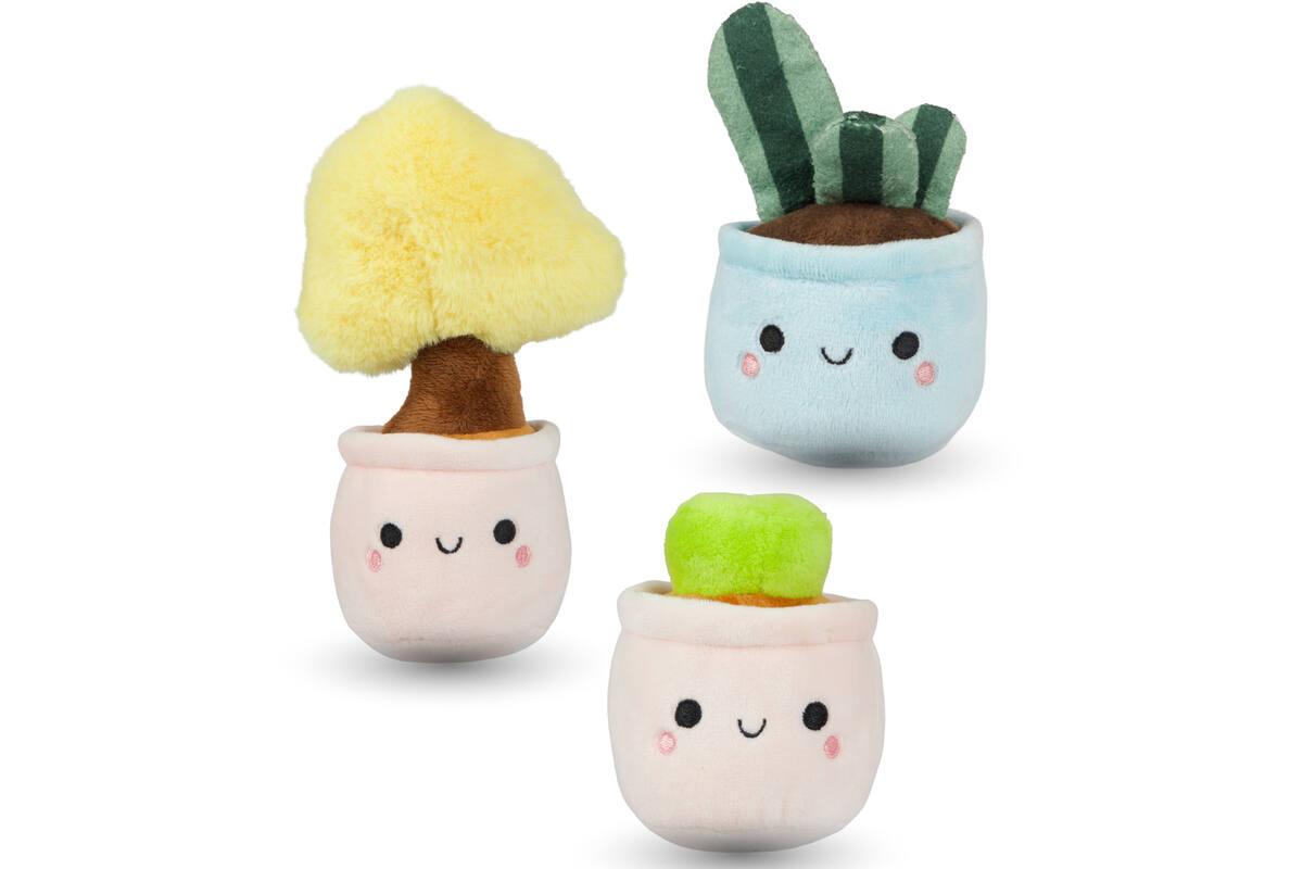 Pluchen plant in pot 12 cm assorti