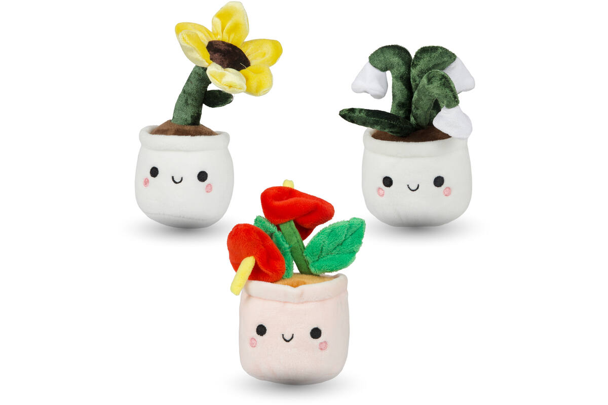 Pluchen plant in pot 12 cm assorti