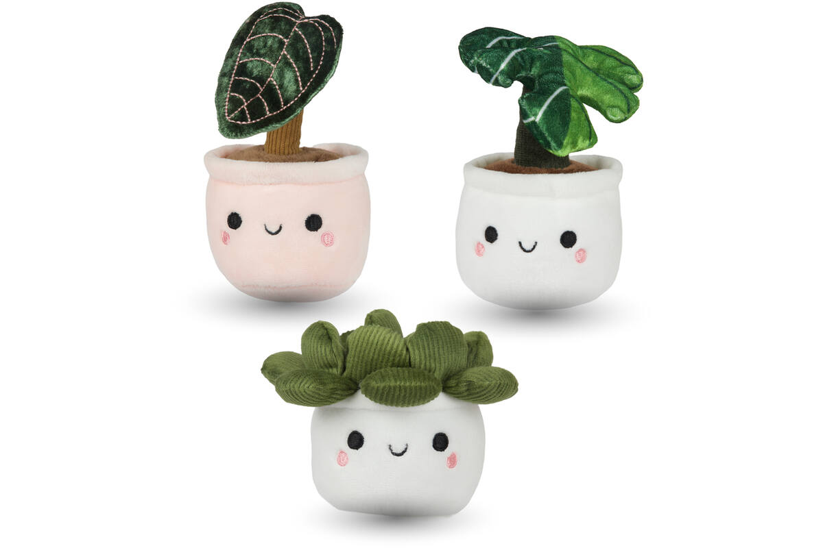 Pluchen plant in pot 12 cm assorti