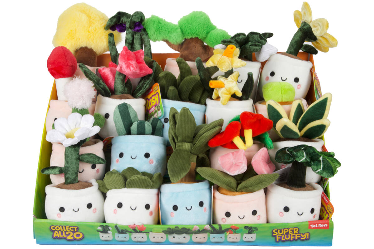 Pluchen plant in pot 12 cm assorti