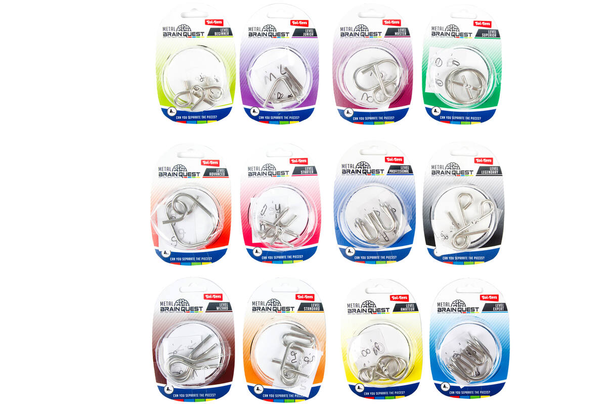 Geduldspel brain quest fidget assorti