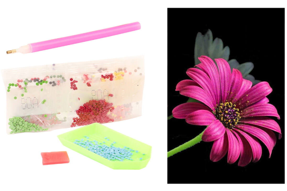 Diamond painting natuur met standaard assorti