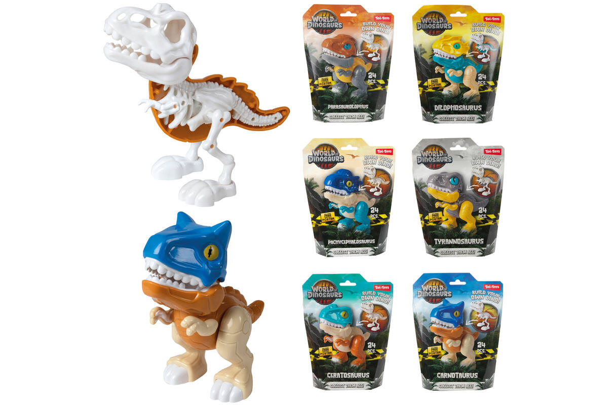 Dino set bouw een dinoskelet assorti
