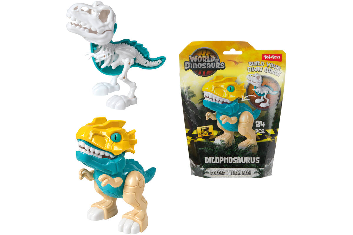 Dino set bouw een dinoskelet assorti