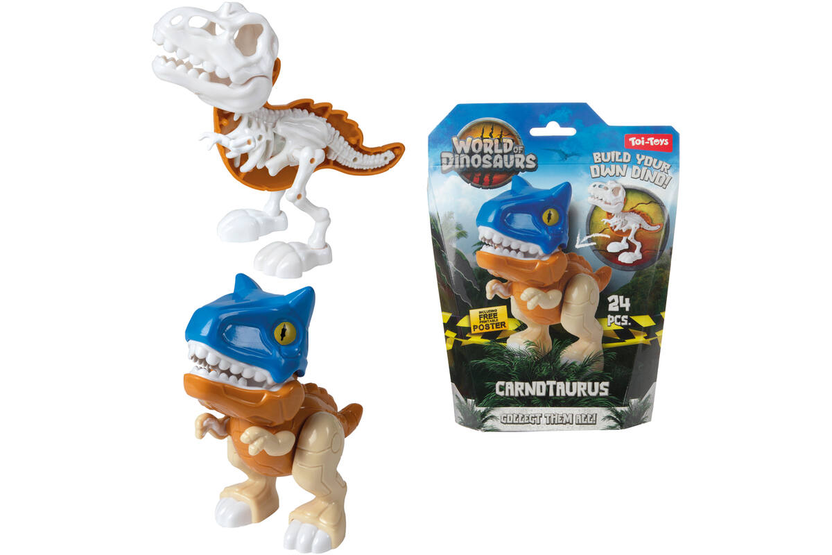 Dino set bouw een dinoskelet assorti