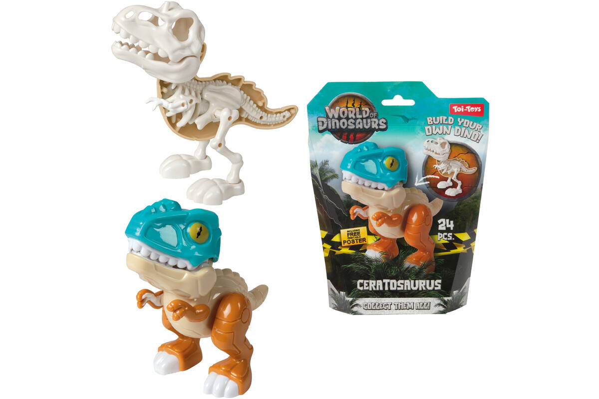 Dino set bouw een dinoskelet assorti