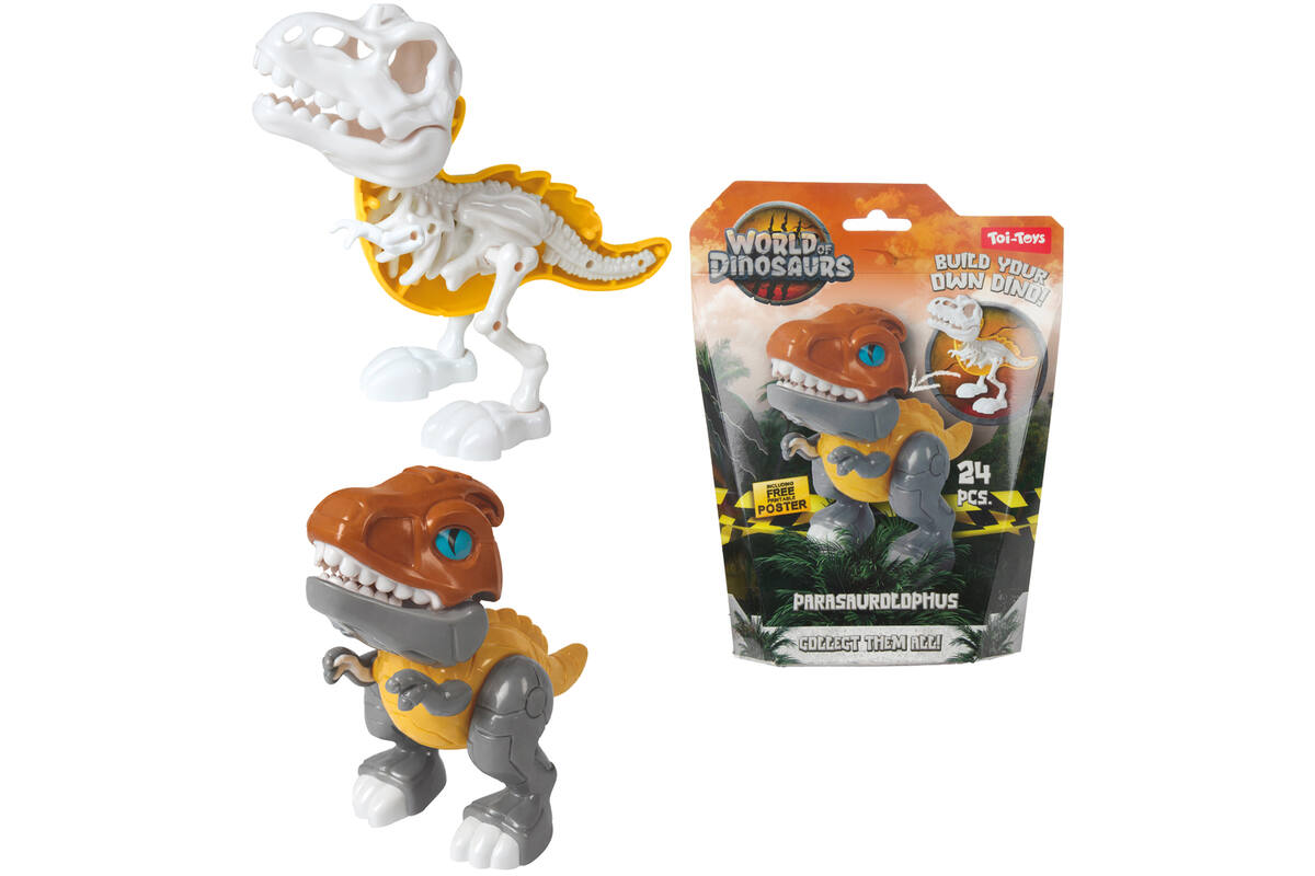 Dino set bouw een dinoskelet assorti