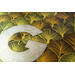 Aquarelpapier 17 x 24 cm zwart 300 gram, 16 vel