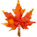 Filterpapier herfst 17 x 23 cm, 96 stuks