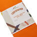 Crêpepapier oranje 250 x 50 cm