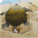 Rolf Connect - Groeipuzzel schildpad 28 x 28 cm 4-lagen 86 stukjes