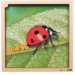 Rolf Connect - Groeipuzzel lieveheersbeestje 28x28 cm 4-lagen 86 stukjes