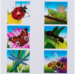 Rolf Puzzels - Puzzelserie insecten, kunststof