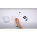 Rolf Basics - Katten of muizen