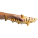 Jumbo zeedieren