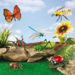Jumbo insecten