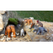 Dierenset, 26 delig