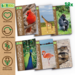 BiOBUDDi Education Big set dieren
