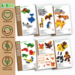 BiOBUDDi Education Small Bouw je dierenplaneet