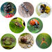 Dieren schatjager