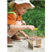 Houten Insectendoos Discover