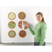 Magnetic Pizza Fractions