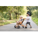 TopTrike Buggy
