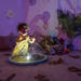 Projector bol