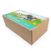 ELECFREAKS -  micro:bit Cutebot Fun Football Game Kit [EF08414]