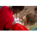Picoo Premium EDU Set